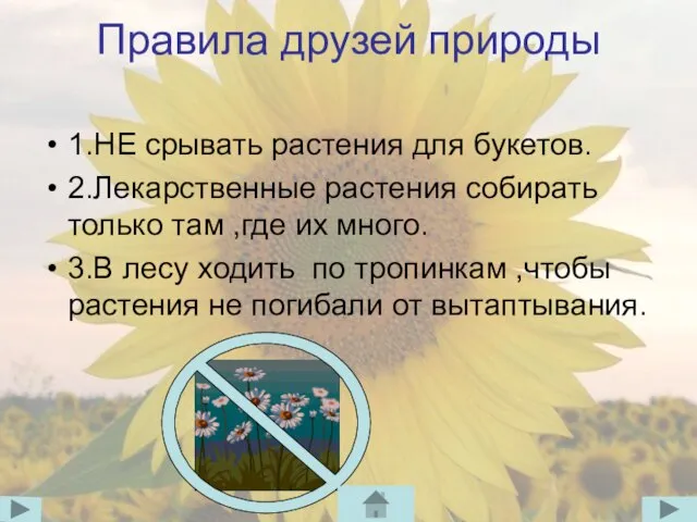 Правила друзей природы 1.НЕ срывать растения для букетов. 2.Лекарственные растения собирать только