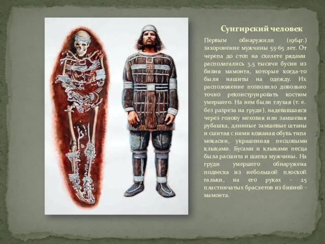 Сунгирский человек Первым обнаружили (1964г.) захоронение мужчины 55-65 лет. От черепа до