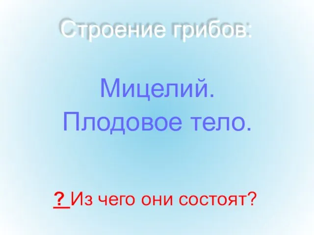 Строение грибов: Мицелий. Плодовое тело. ? Из чего они состоят?