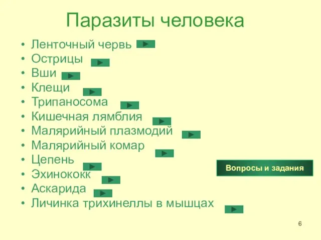 Паразиты человека Ленточный червь Острицы Вши Клещи Трипаносома Кишечная лямблия Малярийный плазмодий