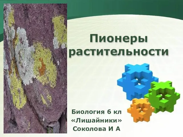 Пионеры растительности Биология 6 кл «Лишайники» Соколова И А