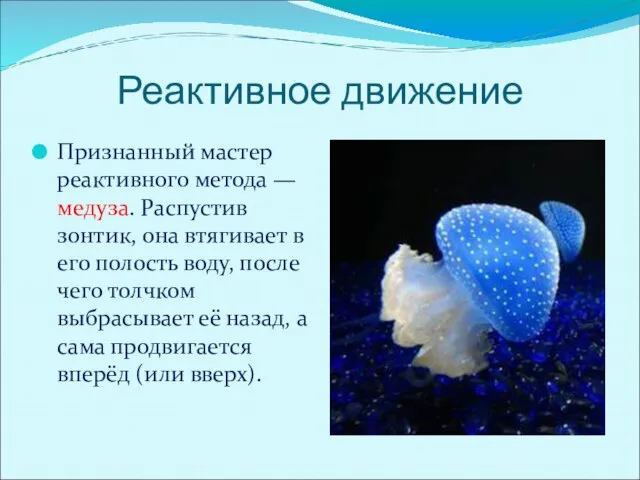 Реактивное движение Признанный мастер реактивного метода — медуза. Распустив зонтик, она втягивает
