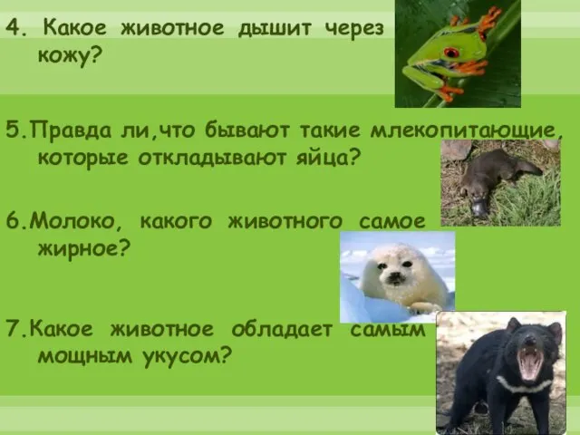 4. Какое животное дышит через кожу? 5.Правда ли,что бывают такие млекопитающие, которые