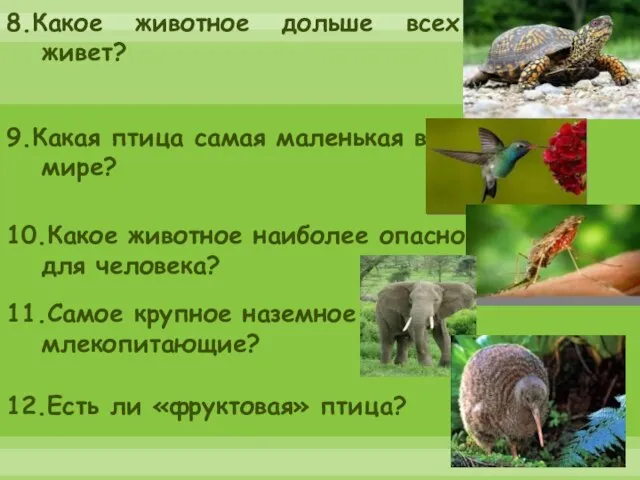 8.Какое животное дольше всех живет? 9.Какая птица самая маленькая в мире? 10.Какое