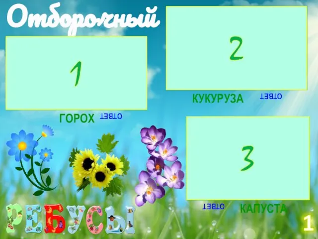 Отборочный тур ОТВЕТ ГОРОХ 1,2,1,2 О=У ОТВЕТ КУКУРУЗА ОТВЕТ КАПУСТА 4,2,1,3