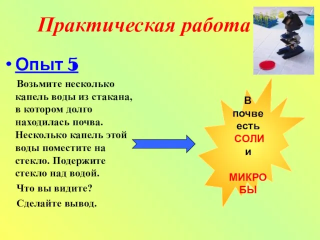 Практическая работа Опыт 5 Возьмите несколько капель воды из стакана, в котором