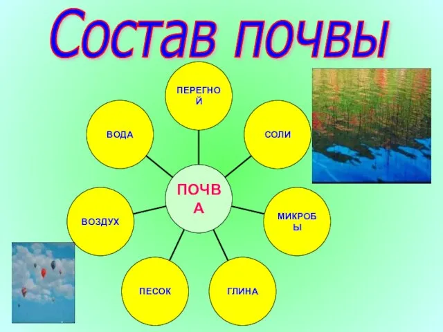 Состав почвы