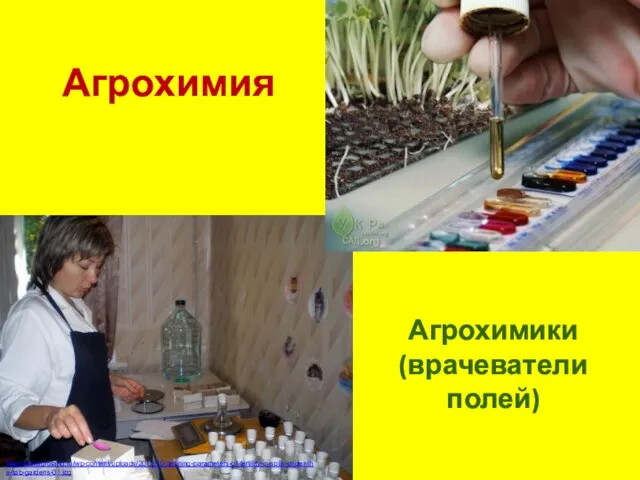 Агрохимия http://stavagroland.ru/wp-content/uploads/2012/10/defining-parameters-of-fertility-in-soils-under-the-tab-gardens-01.jpg Агрохимики (врачеватели полей)