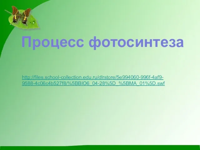 http://files.school-collection.edu.ru/dlrstore/5e994060-996f-4af9- 9588-4c06c4b527f8/%5BBIO6_04-28%5D_%5BMA_01%5D.swf Процесс фотосинтеза