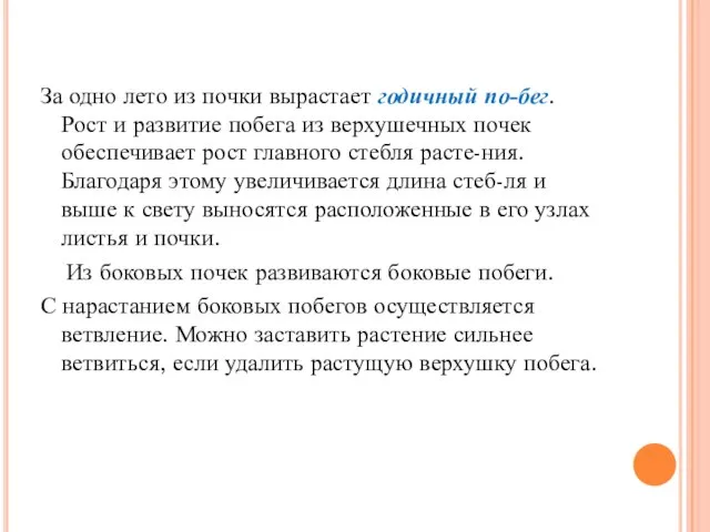 За одно лето из почки вырастает годичный по-бег. Рост и развитие побега