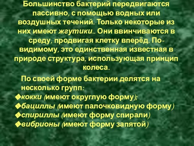 Большинство бактерий передвигаются пассивно, с помощью водных или воздушных течений. Только некоторые