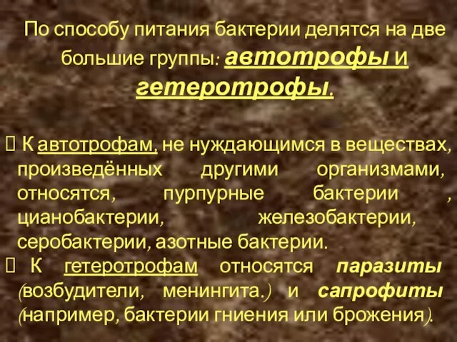 По способу питания бактерии делятся на две большие группы: автотрофы и гетеротрофы.