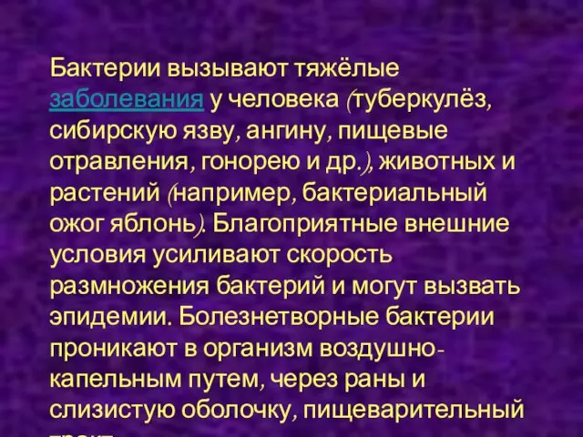 Бактерии вызывают тяжёлые заболевания у человека (туберкулёз, сибирскую язву, ангину, пищевые отравления,