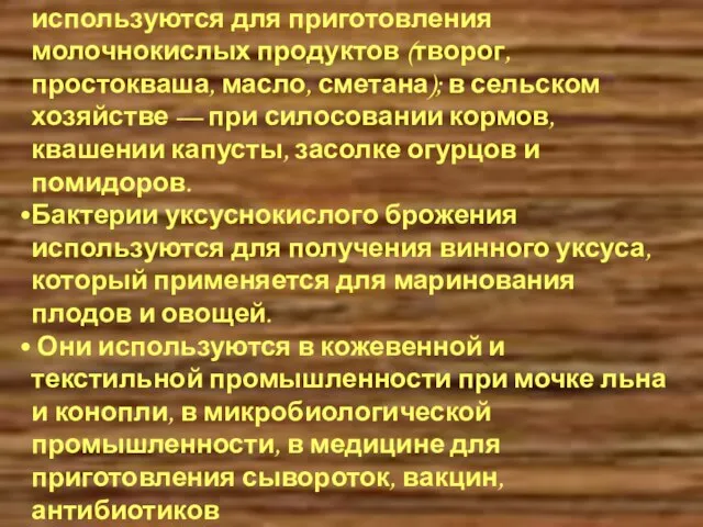 Значение бактерий в жизни человека Бактерии молочнокислого брожения используются для приготовления молочнокислых