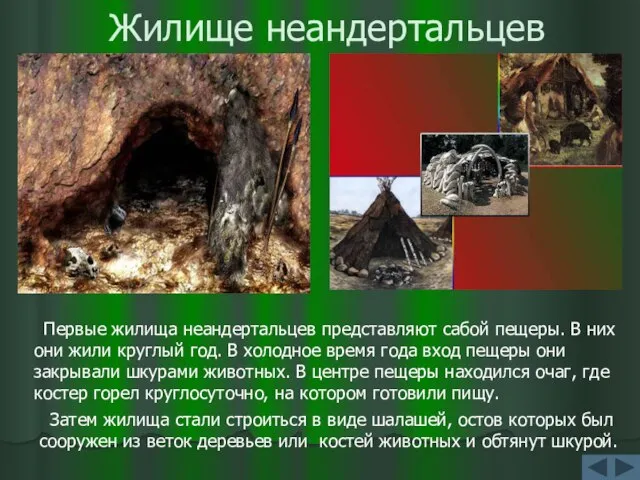 Жилище неандертальцев Первые жилища неандертальцев представляют сабой пещеры. В них они жили