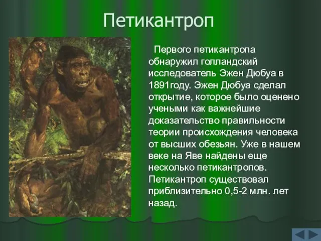 Петикантроп Первого петикантропа обнаружил голландский исследователь Эжен Дюбуа в 1891году. Эжен Дюбуа