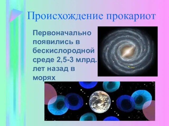 Происхождение прокариот Первоначально появились в бескислородной среде 2,5-3 млрд. лет назад в морях