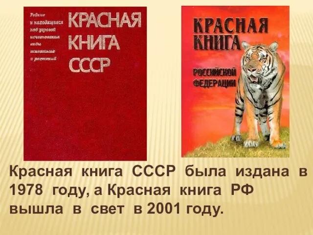 Красная книга СССР была издана в 1978 году, а Красная книга РФ