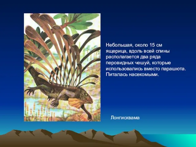 Небольшая, около 15 см ящерица, вдоль всей спины располагается два ряда перовидных