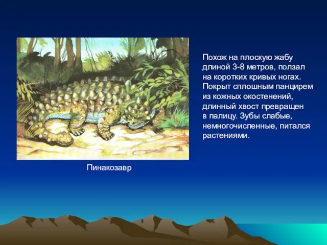 Пинакозавр Похож на плоскую жабу длиной 3-8 метров, ползал на коротких кривых