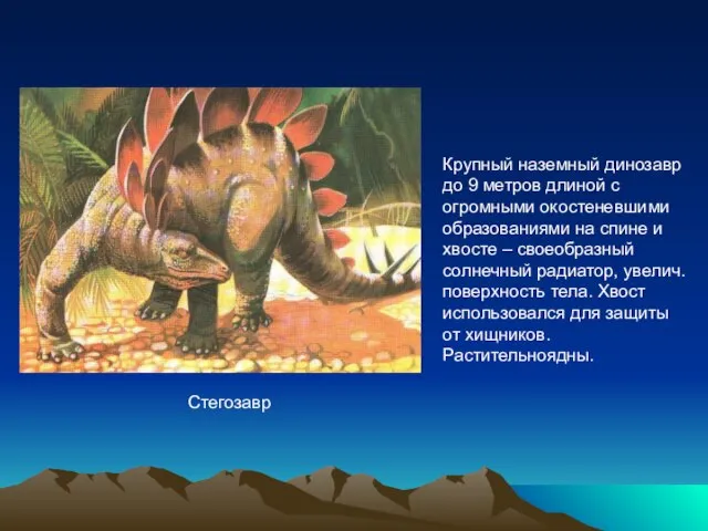 Стегозавр Крупный наземный динозавр до 9 метров длиной с огромными окостеневшими образованиями