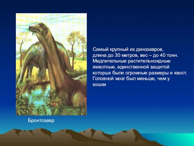Бронтозавр Самый крупный из динозавров, длина до 30 метров, вес – до