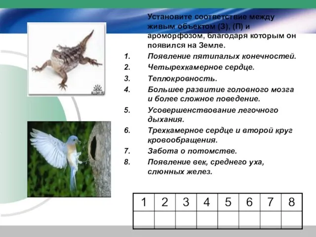 Установите соответствие между живым объектом (З), (П) и ароморфозом, благодаря которым он