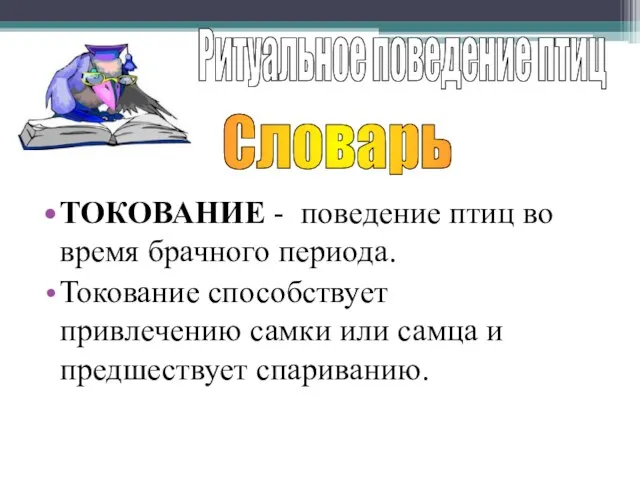 ТОКОВАНИЕ - поведение птиц во время брачного периода. Токование способствует привлечению самки