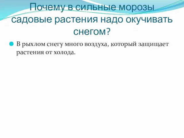 Почему в сильные морозы садовые растения надо окучивать снегом? В рыхлом снегу