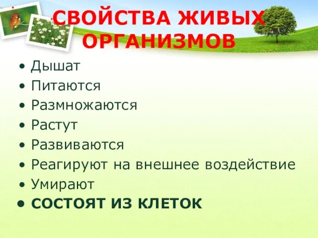 СВОЙСТВА ЖИВЫХ ОРГАНИЗМОВ Дышат Питаются Размножаются Растут Развиваются Реагируют на внешнее воздействие Умирают СОСТОЯТ ИЗ КЛЕТОК