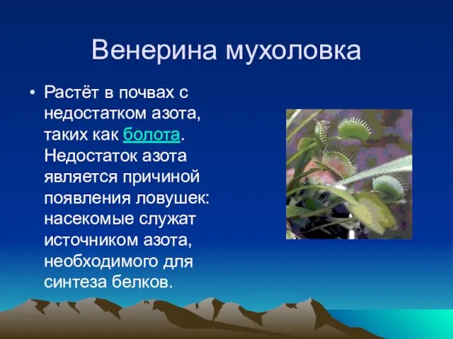 Венерина мухоловка Растёт в почвах с недостатком азота, таких как болота. Недостаток