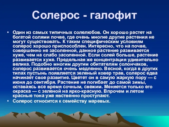 Солерос - галофит Один из самых типичных солелюбов. Он хорошо растет на