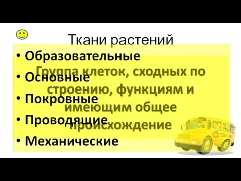 Ткани растений