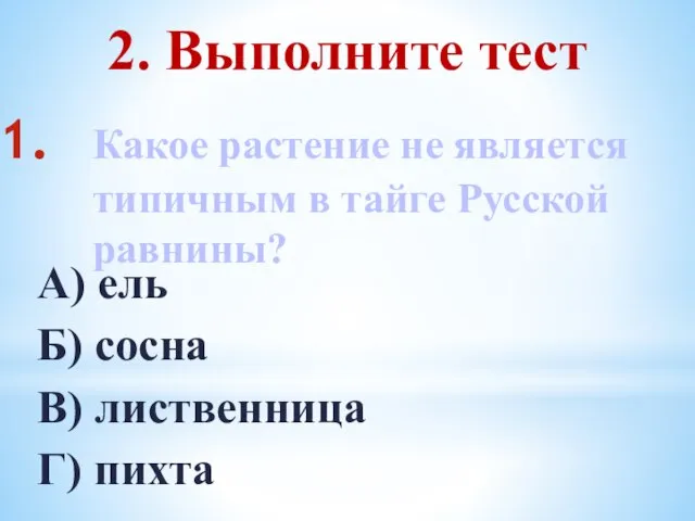 Какое растение не является типичным в тайге Русской равнины? А) ель Б)