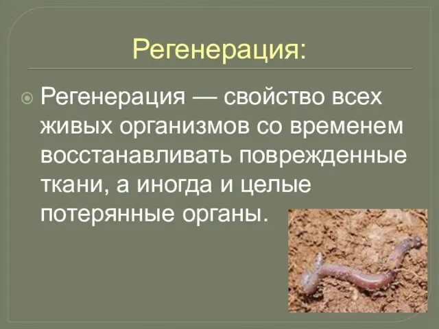 Регенерация: Регенерация — свойство всех живых организмов со временем восстанавливать поврежденные ткани,