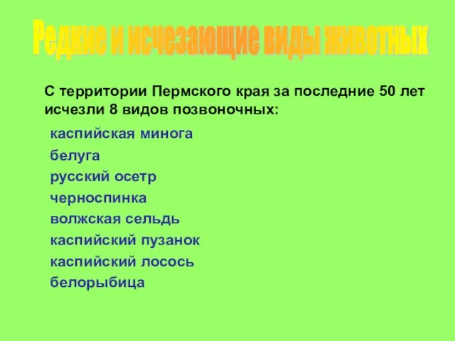 С территории Пермского края за последние 50 лет исчезли 8 видов позвоночных: