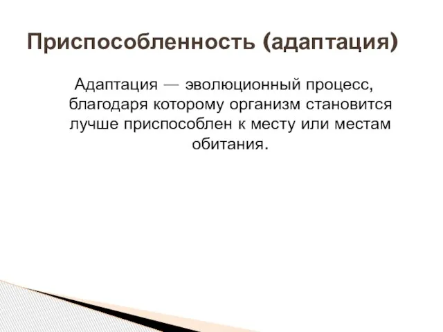 Адаптация — эволюционный процесс, благодаря которому организм становится лучше приспособлен к месту