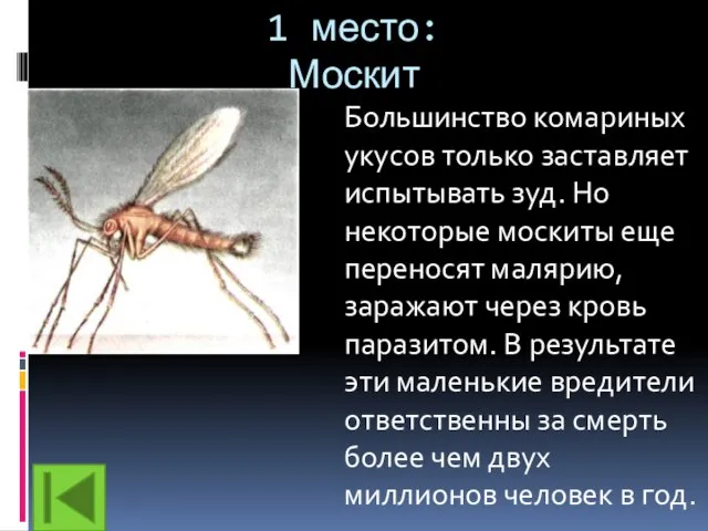 1 место: Москит Большинство комариных укусов только заставляет испытывать зуд. Но некоторые
