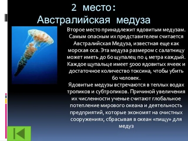 2 место: Австралийская медуза Второе место принадлежит ядовитым медузам. Самым опасным их