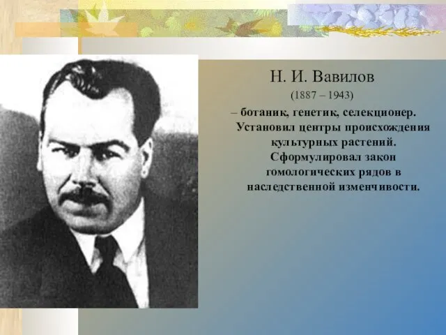 Н. И. Вавилов (1887 – 1943) – ботаник, генетик, селекционер. Установил центры