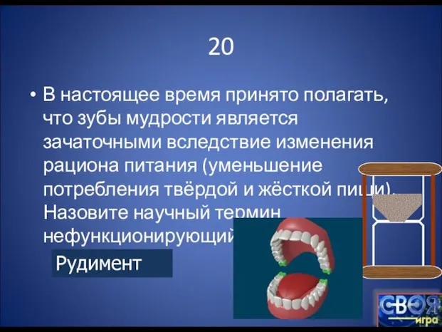 20 В настоящее время принято полагать, что зубы мудрости является зачаточными вследствие
