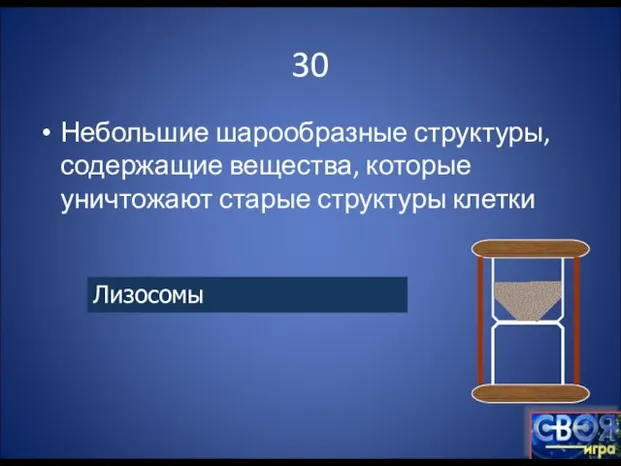 30 Небольшие шарообразные структуры, содержащие вещества, которые уничтожают старые структуры клетки Лизосомы