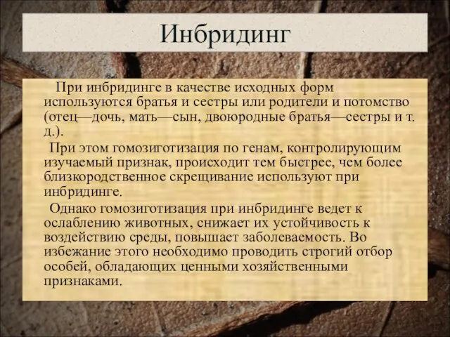 Инбридинг При инбридинге в качестве исходных форм используются братья и сестры или