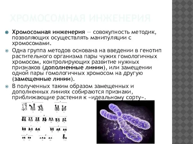 Хромосомная инженерия Хромосомная инженерия — совокупность методик, позволяющих осуществлять манипуляции с хромосомами.