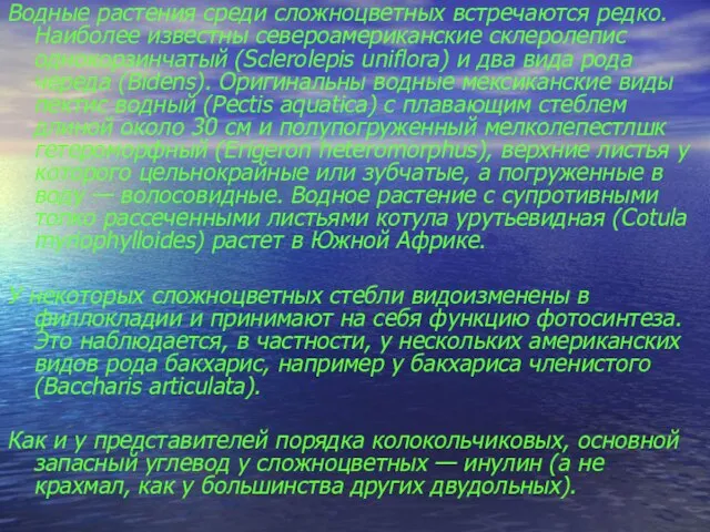 Водные растения среди сложноцветных встречаются редко. Наиболее известны североамериканские склеролепис однокорзинчатый (Sclerolepis