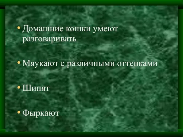 Домашние кошки умеют разговаривать Мяукают с различными оттенками Шипят Фыркают