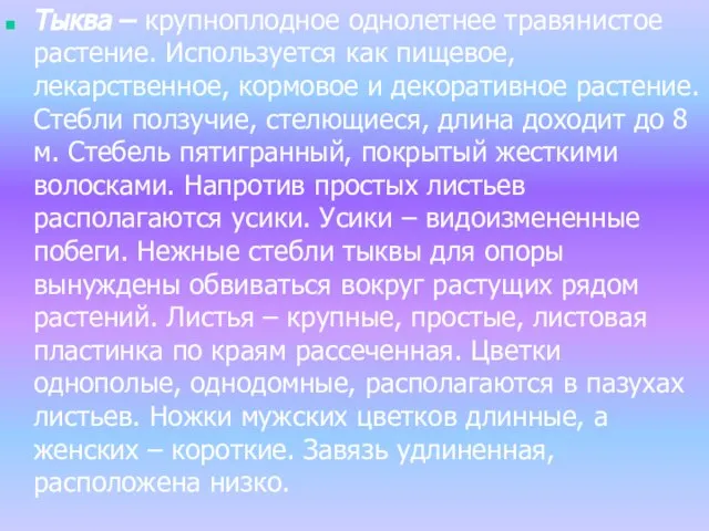 Тыква – крупноплодное однолетнее травянистое растение. Используется как пищевое, лекарственное, кормовое и