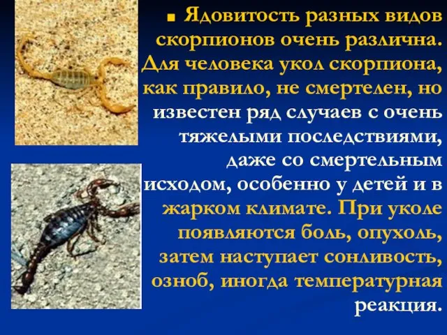 Ядовитость разных видов скорпионов очень различна. Для человека укол скорпиона, как правило,