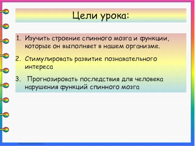 Изучить строение спинного мозга и функции, которые он выполняет в нашем организме.