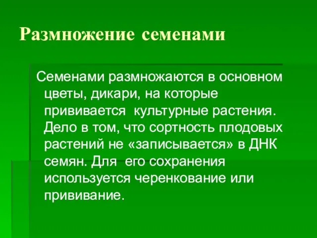 Размножение семенами Семенами размножаются в основном цветы, дикари, на которые прививается культурные